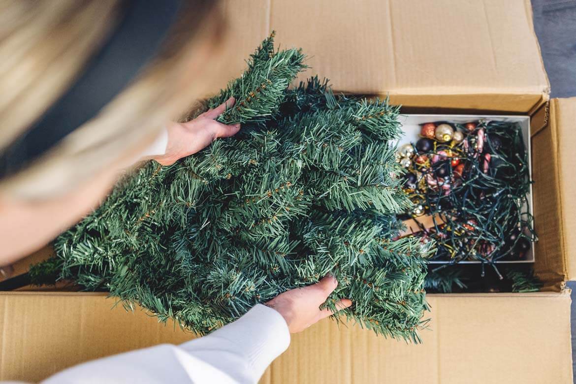 What to do with Christmas trees? Zero Waste Scotland
